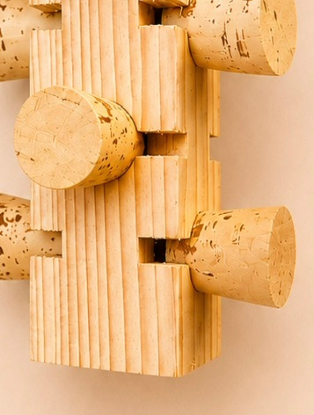 Cork Foraging Puzzle