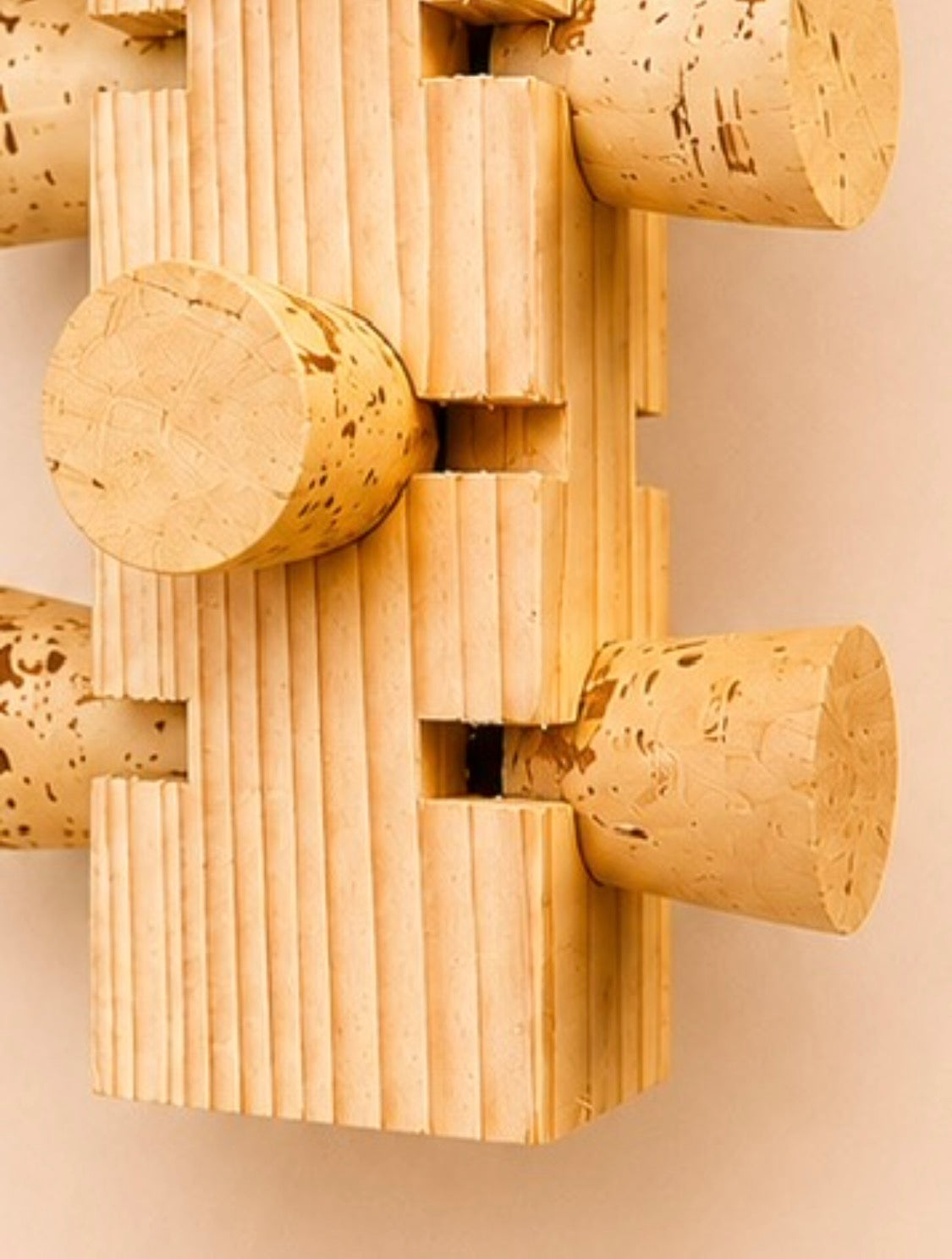 Cork Foraging Puzzle