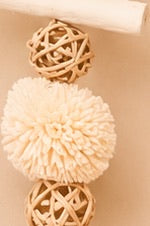 Sola Snowballs