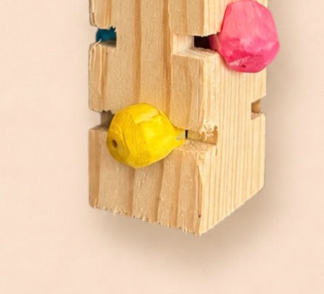 Sola Foraging Puzzle